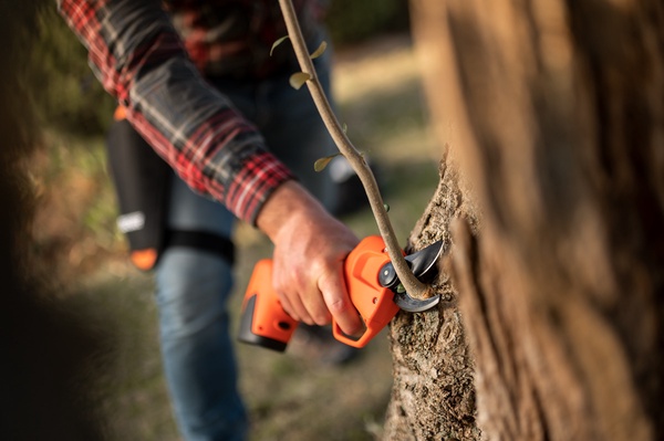 Stocker Tijera Poda a Bater�a Vulcano E-25 TR Basic
